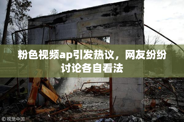 粉色视频ap引发热议，网友纷纷讨论各自看法
