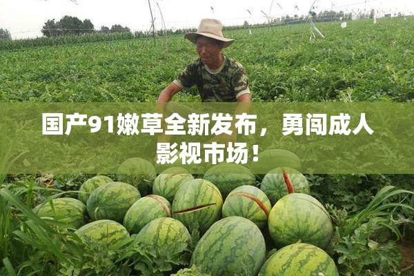 国产91嫩草全新发布，勇闯成人影视市场！