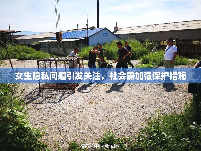 女生隐私问题引发关注，社会需加强保护措施