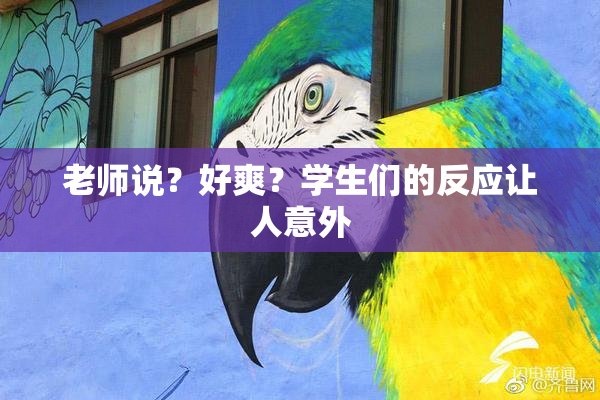 老师说？好爽？学生们的反应让人意外