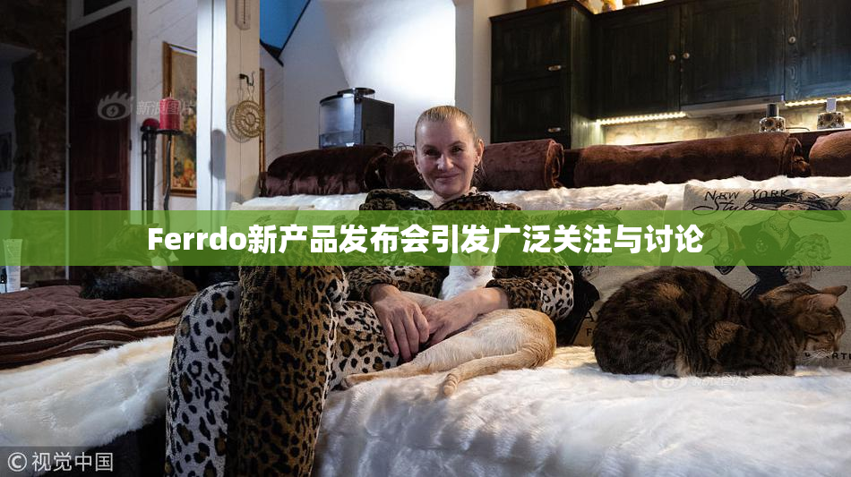 Ferrdo新产品发布会引发广泛关注与讨论