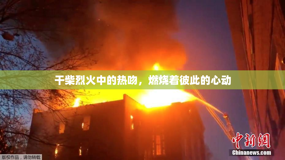 干柴烈火中的热吻，燃烧着彼此的心动