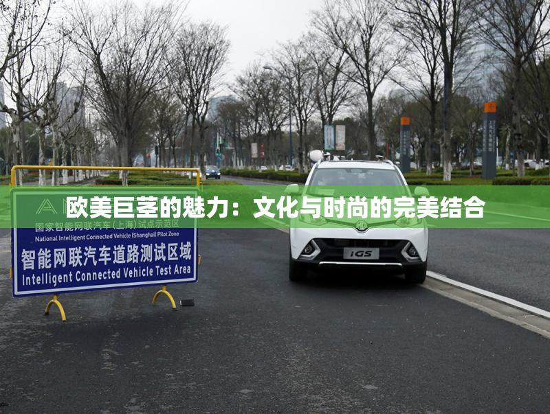 欧美巨茎的魅力：文化与时尚的完美结合
