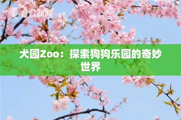 犬园Zoo：探索狗狗乐园的奇妙世界