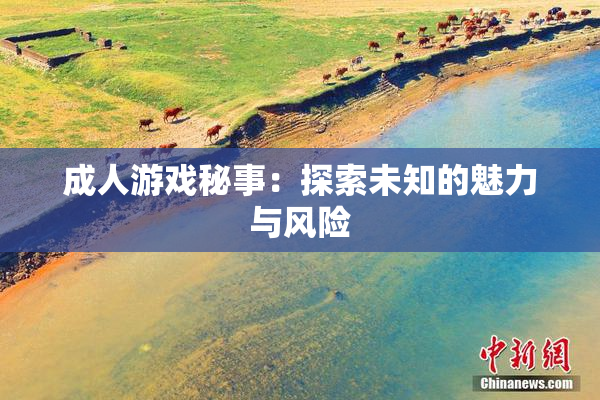 成人游戏秘事：探索未知的魅力与风险