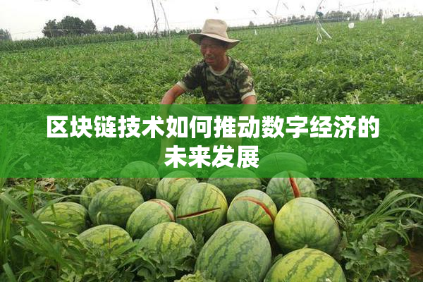 区块链技术如何推动数字经济的未来发展
