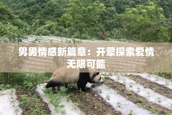 男男情感新篇章：开荤探索爱情无限可能