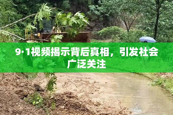 9·1视频揭示背后真相，引发社会广泛关注