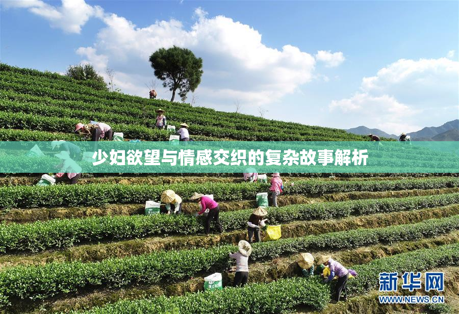 少妇欲望与情感交织的复杂故事解析