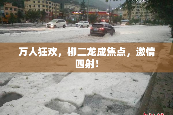 万人狂欢，柳二龙成焦点，激情四射！
