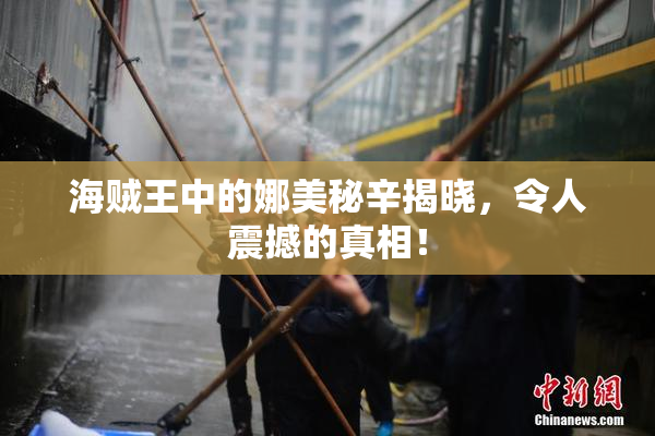 海贼王中的娜美秘辛揭晓，令人震撼的真相！
