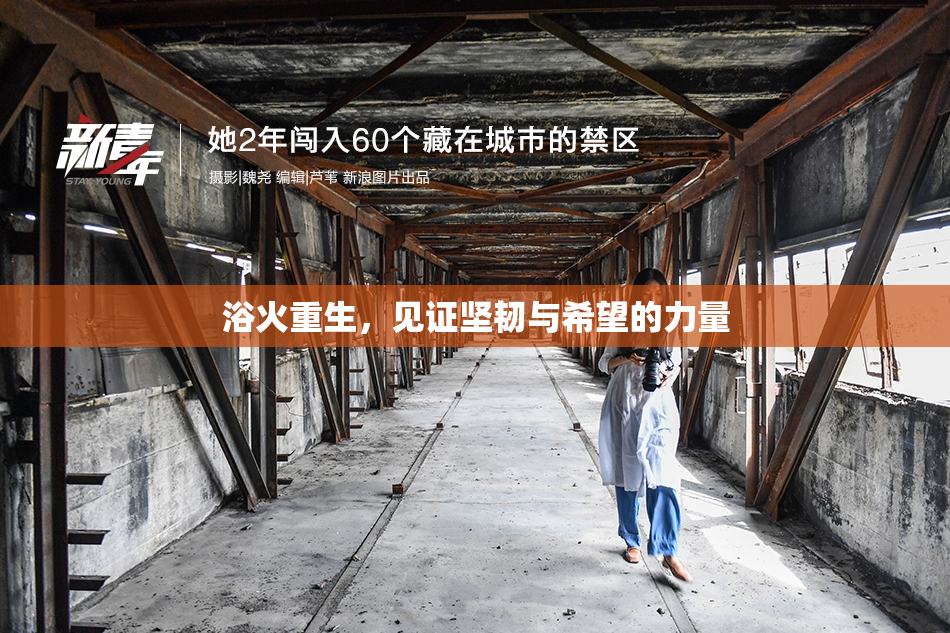 浴火重生，见证坚韧与希望的力量