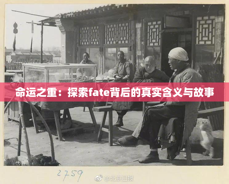 命运之重：探索fate背后的真实含义与故事