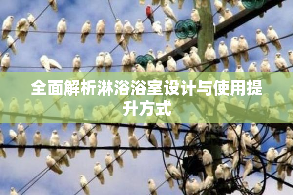 全面解析淋浴浴室设计与使用提升方式