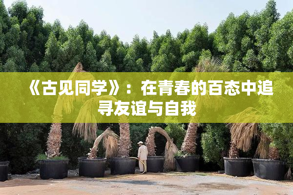 《古见同学》：在青春的百态中追寻友谊与自我