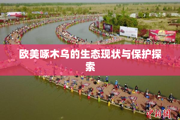 欧美啄木乌的生态现状与保护探索