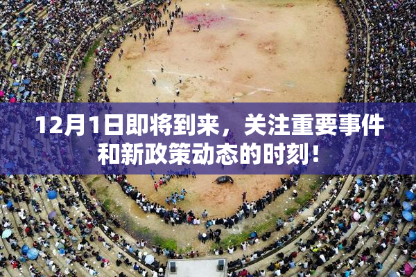 12月1日即将到来，关注重要事件和新政策动态的时刻！