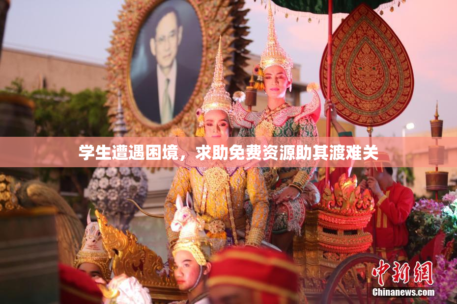 学生遭遇困境，求助免费资源助其渡难关