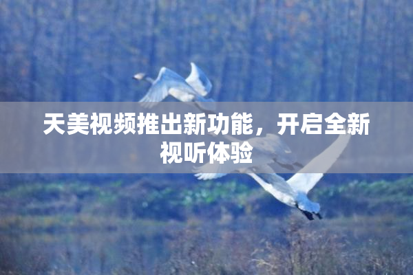 天美视频推出新功能，开启全新视听体验
