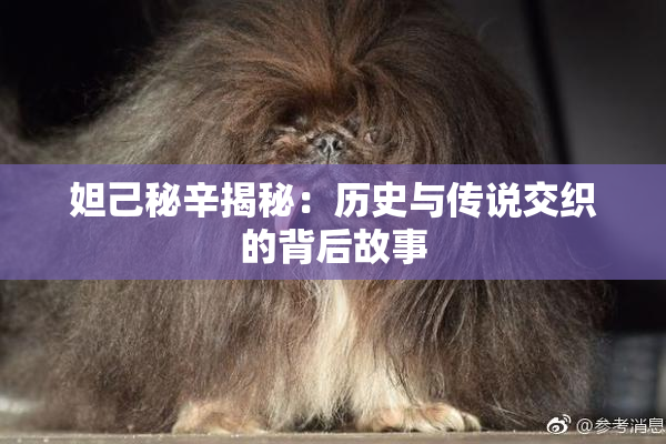 妲己秘辛揭秘：历史与传说交织的背后故事