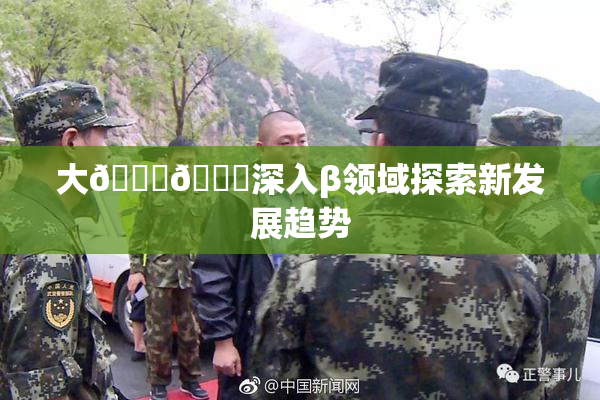 大🐔🐔深入β领域探索新发展趋势