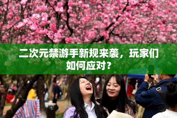 二次元禁游手新规来袭，玩家们如何应对？