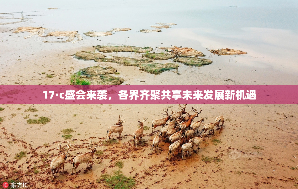17·c盛会来袭，各界齐聚共享未来发展新机遇