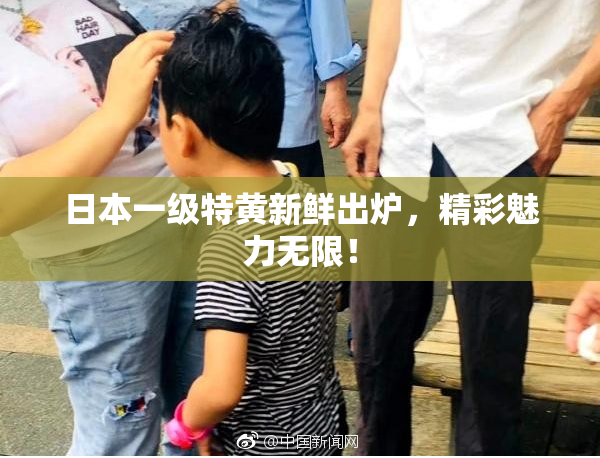 日本一级特黄新鲜出炉，精彩魅力无限！