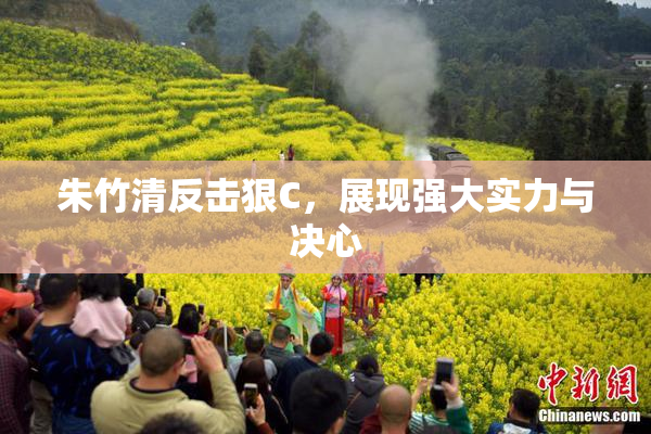 朱竹清反击狠C，展现强大实力与决心