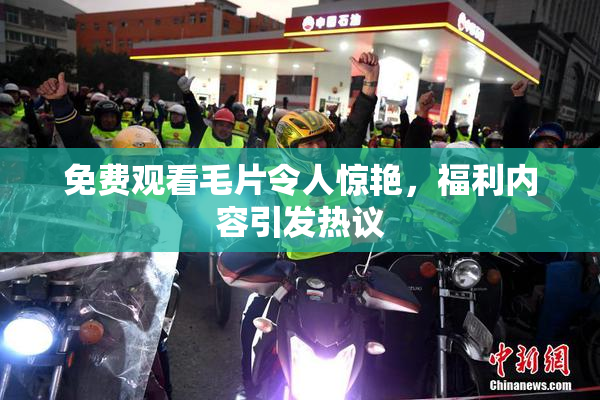 免费观看毛片令人惊艳，福利内容引发热议
