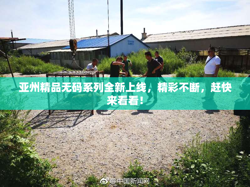 亚州精品无码系列全新上线，精彩不断，赶快来看看！