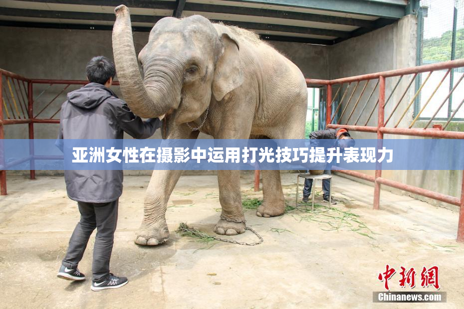 亚洲女性在摄影中运用打光技巧提升表现力