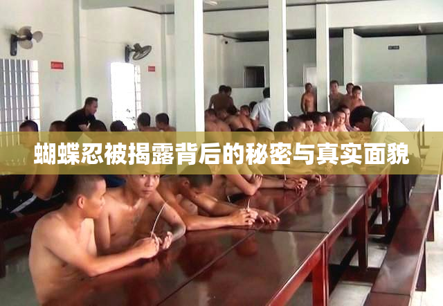 蝴蝶忍被揭露背后的秘密与真实面貌