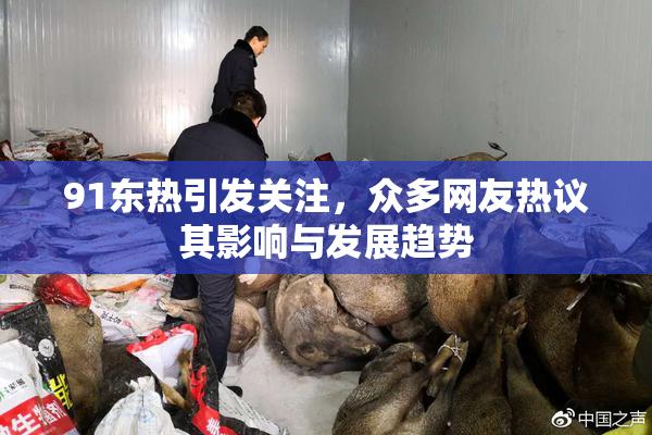 91东热引发关注，众多网友热议其影响与发展趋势