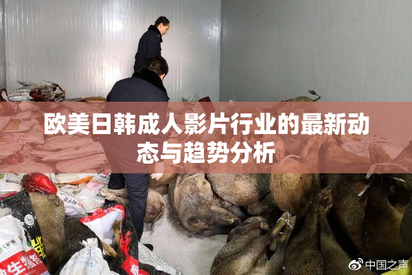 欧美日韩成人影片行业的最新动态与趋势分析