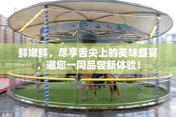 鲜嫩鲜，尽享舌尖上的美味盛宴，邀您一同品尝新体验！