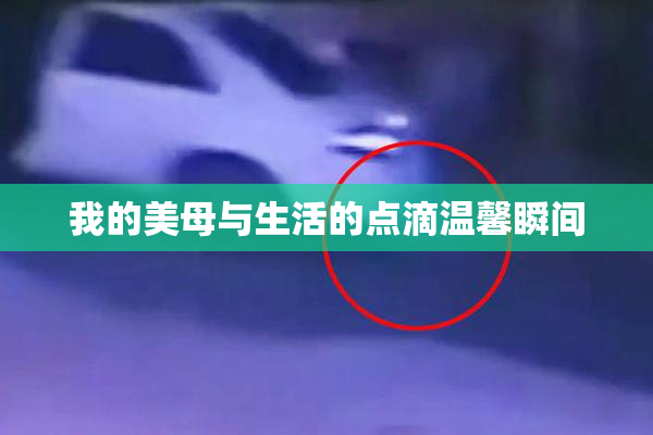 我的美母与生活的点滴温馨瞬间