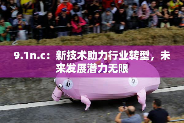 9.1n.c：新技术助力行业转型，未来发展潜力无限
