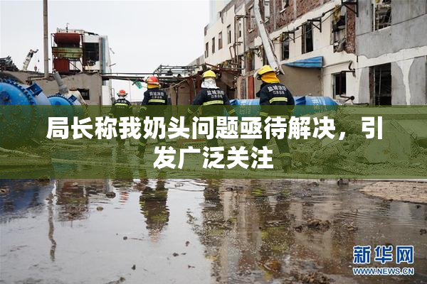 局长称我奶头问题亟待解决，引发广泛关注