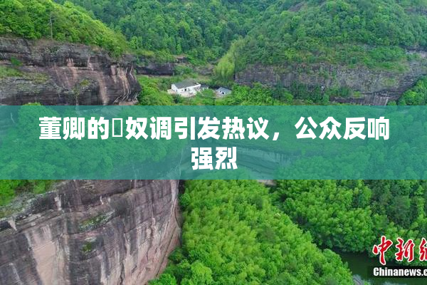 董卿的婬奴调引发热议，公众反响强烈