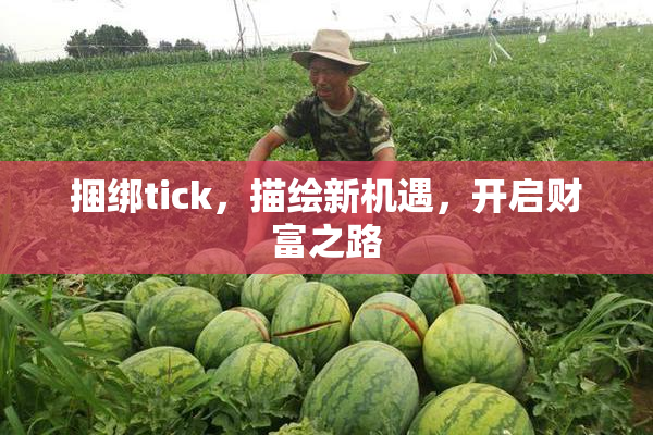 捆绑tick，描绘新机遇，开启财富之路