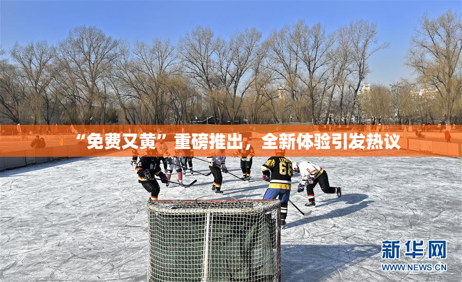 “免费又黄”重磅推出，全新体验引发热议