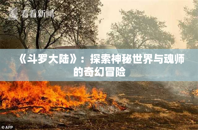 《斗罗大陆》：探索神秘世界与魂师的奇幻冒险