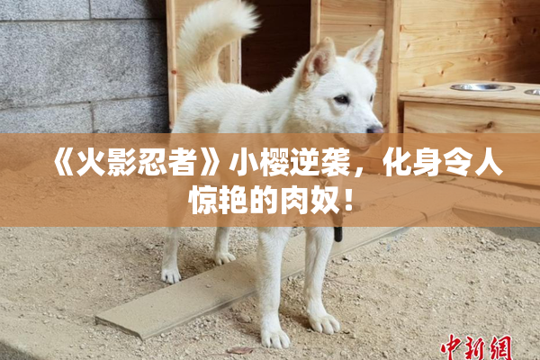 《火影忍者》小樱逆袭，化身令人惊艳的肉奴！