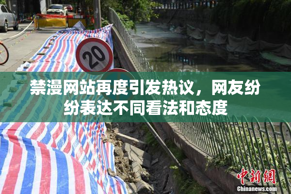禁漫网站再度引发热议，网友纷纷表达不同看法和态度