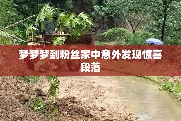 梦梦梦到粉丝家中意外发现惊喜段落