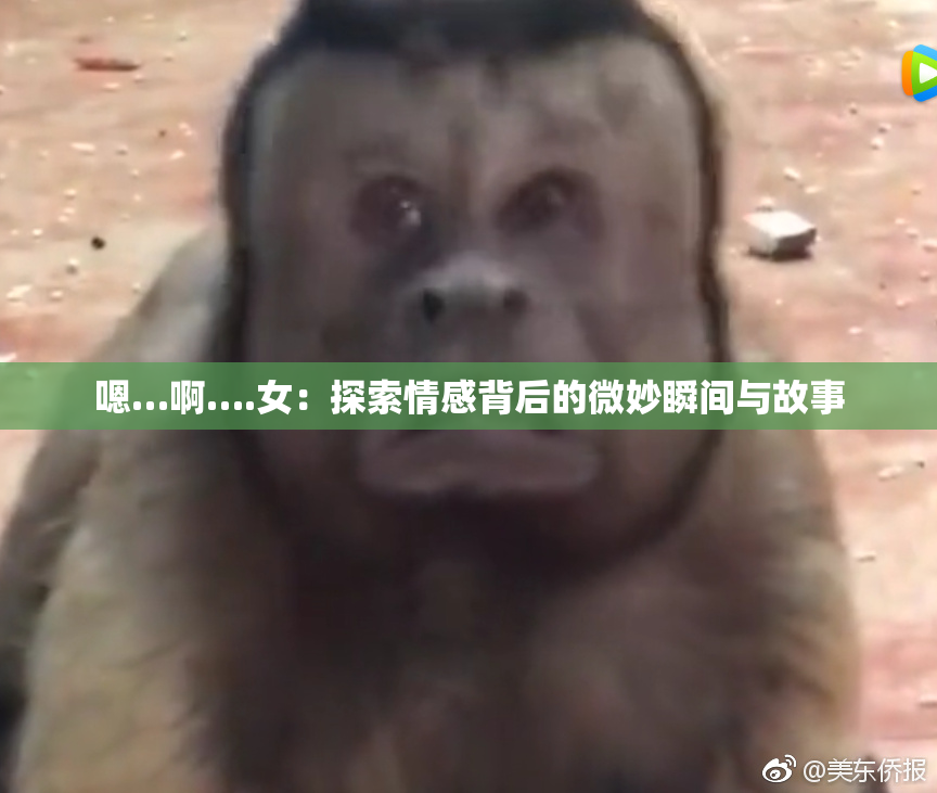 嗯…啊….女：探索情感背后的微妙瞬间与故事