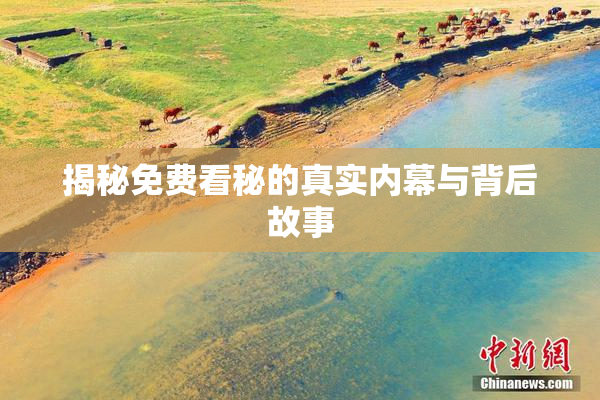 揭秘免费看秘的真实内幕与背后故事