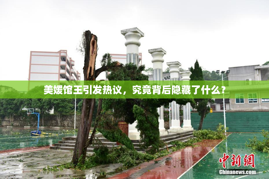 美媛馆王引发热议，究竟背后隐藏了什么？