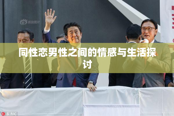 同性恋男性之间的情感与生活探讨